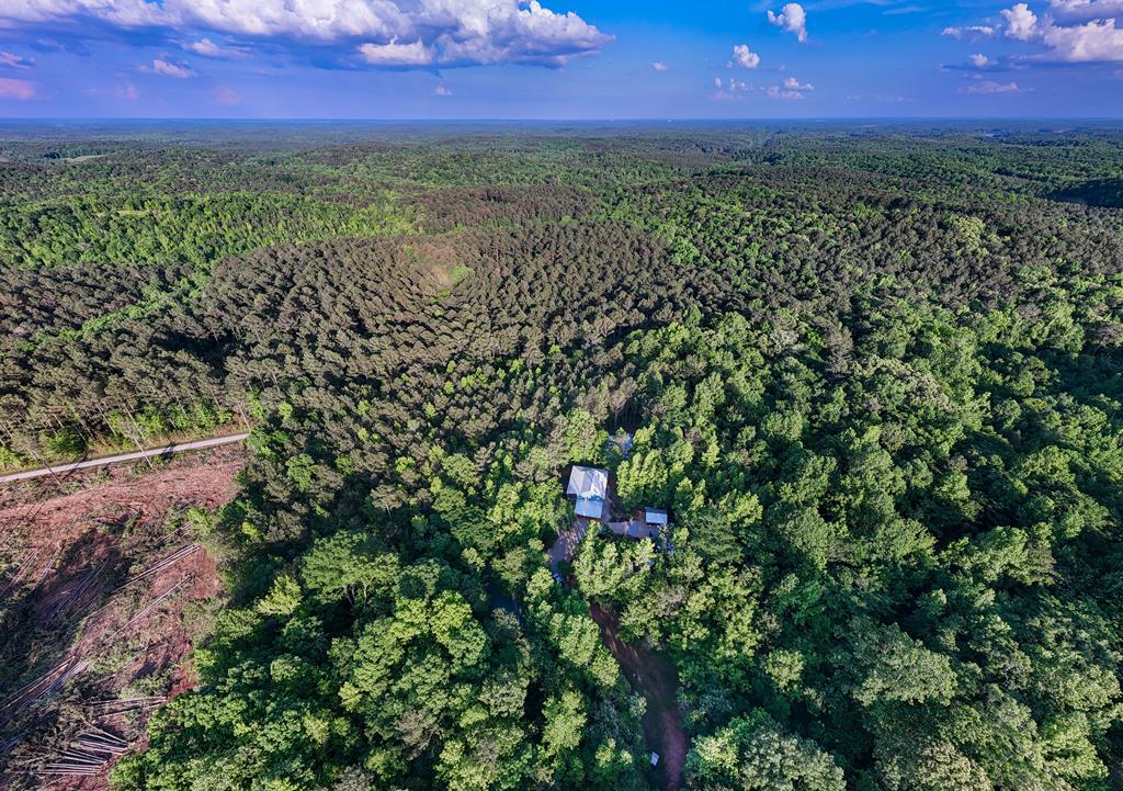 153 North Whatley Road LaGrange, GA 30240 - Photo 65 of 67 a view of a yard with lots of bushes