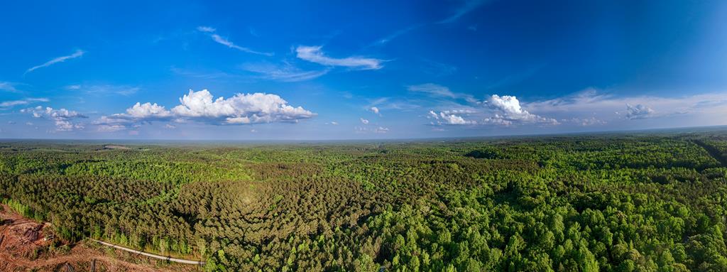 153 North Whatley Road LaGrange, GA 30240 - Photo 66 of 67 a view of a yard with a house
