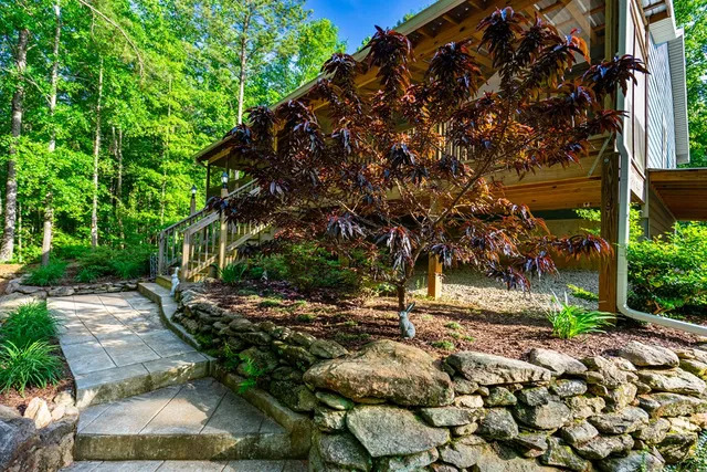 a view of a yard with plants and trees