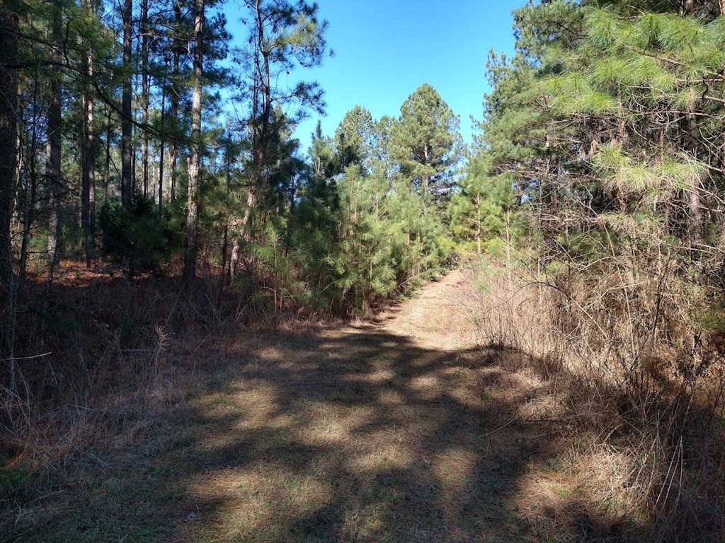 0 Old Morris Road Rocky Face, GA 30740 - Photo 13 of 18 Gallery Image 13