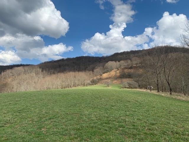 Tbd Big Valley Road Monterey, VA 24465 - Photo 8 of 17 Gallery Image 8