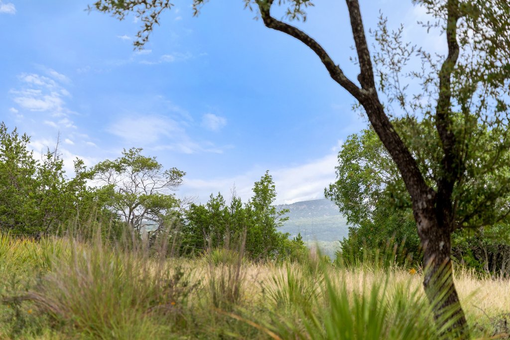 2126 Hidden Valley Ranch Road Johnson City, TX 78636 - Photo 25 of 36 A tranquil landscape offers distant mountain views framed by natural foliage.
