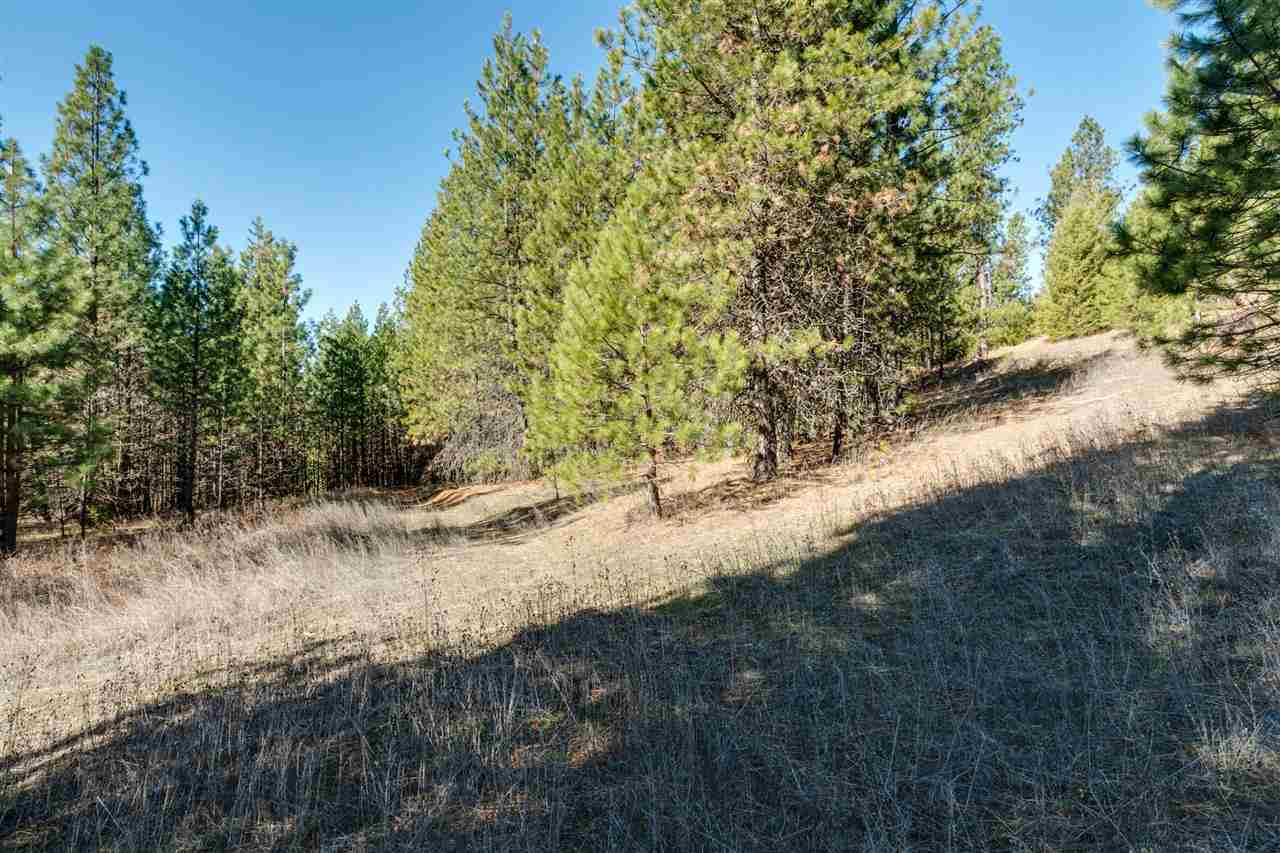 4071 Gardenspot Road Loon Lake, WA 99148 - Photo 17 of 20