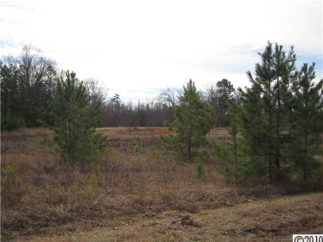0 Helms Road Lancaster, SC 29720 - Photo 4 of 9 a view of a forest with trees in the background