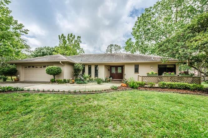 3460 Forelock Road Tarpon Springs, FL 34688 - Photo 1 of 1