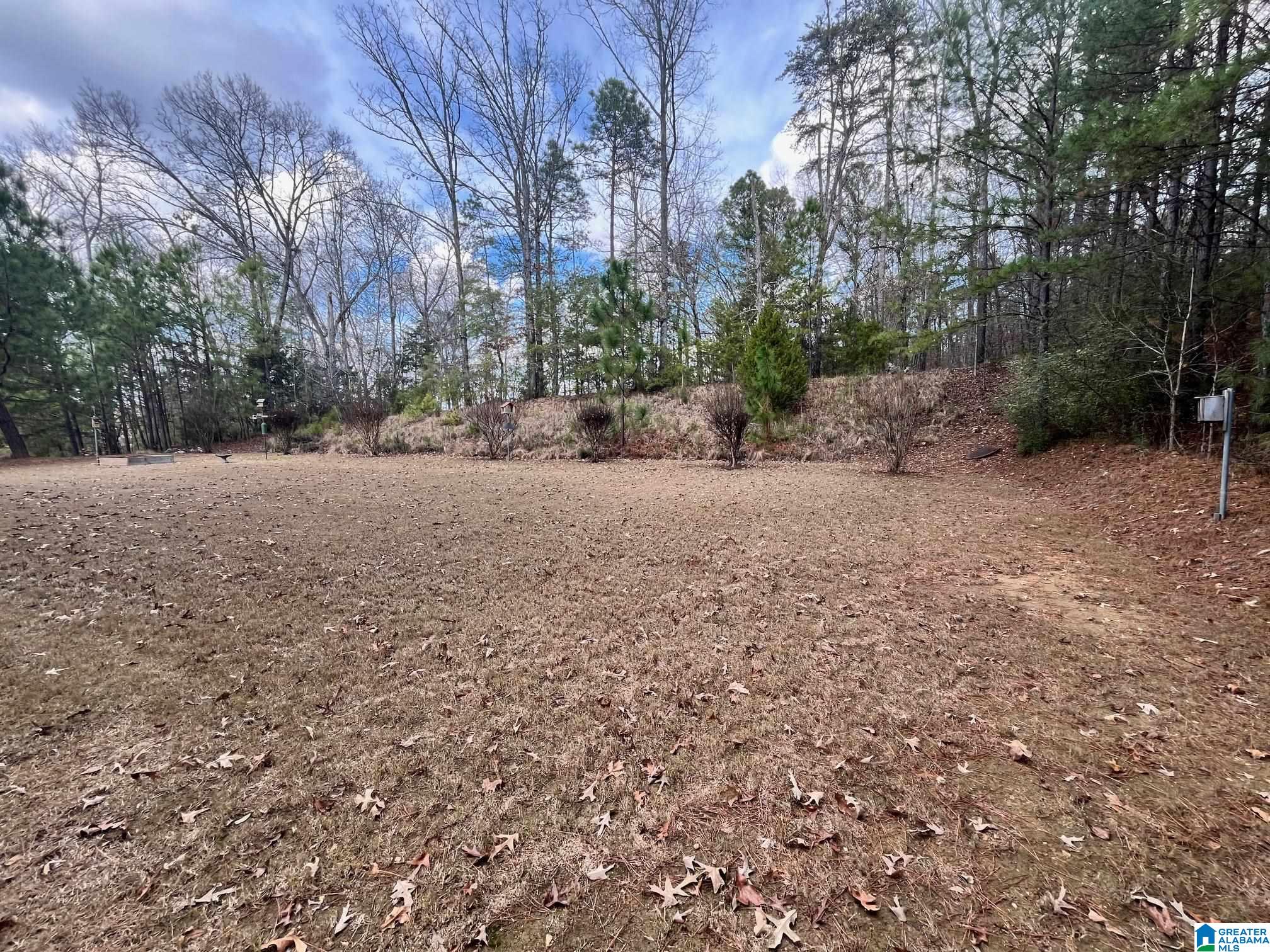 445 Ramsgate Drive Alabaster, AL 35114 - Photo 3 of 22