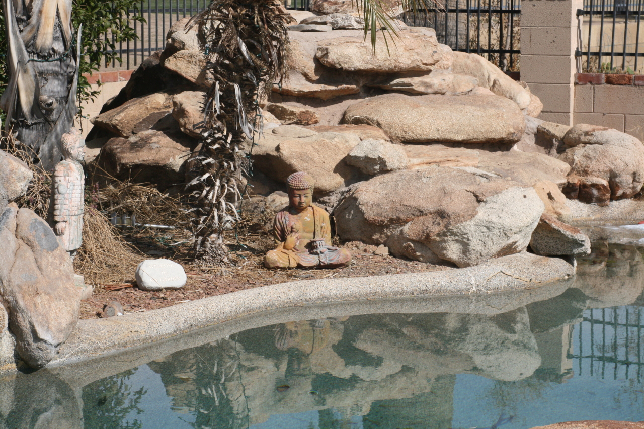 312 West Thunderbird Road Phoenix, AZ 85023 - Photo 5 of 6 Pool