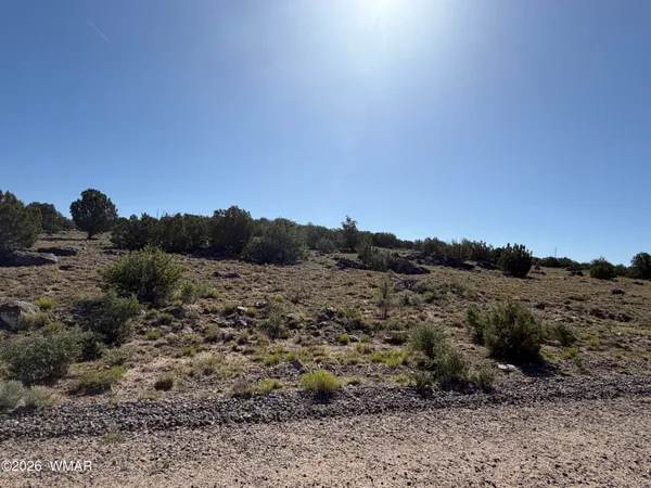 a view of a dry field