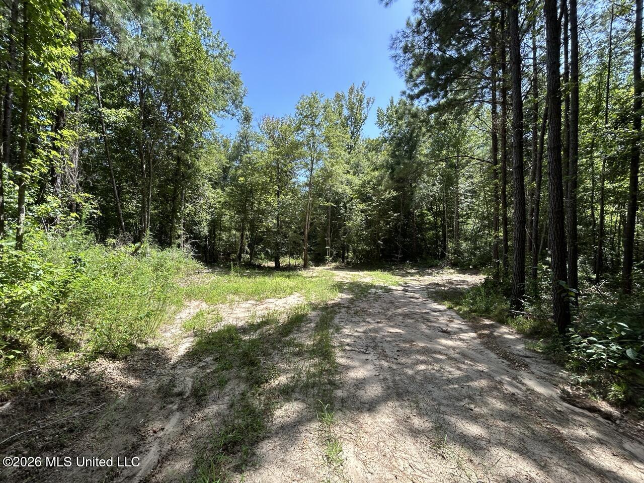 399 Northeast Dummyline Road Brookhaven, MS 39601 - Photo 22 of 33 IMG_5202 Large