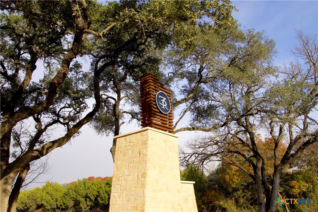 a view of a tree with a house in the background