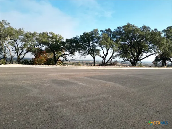 a view of a street with green space