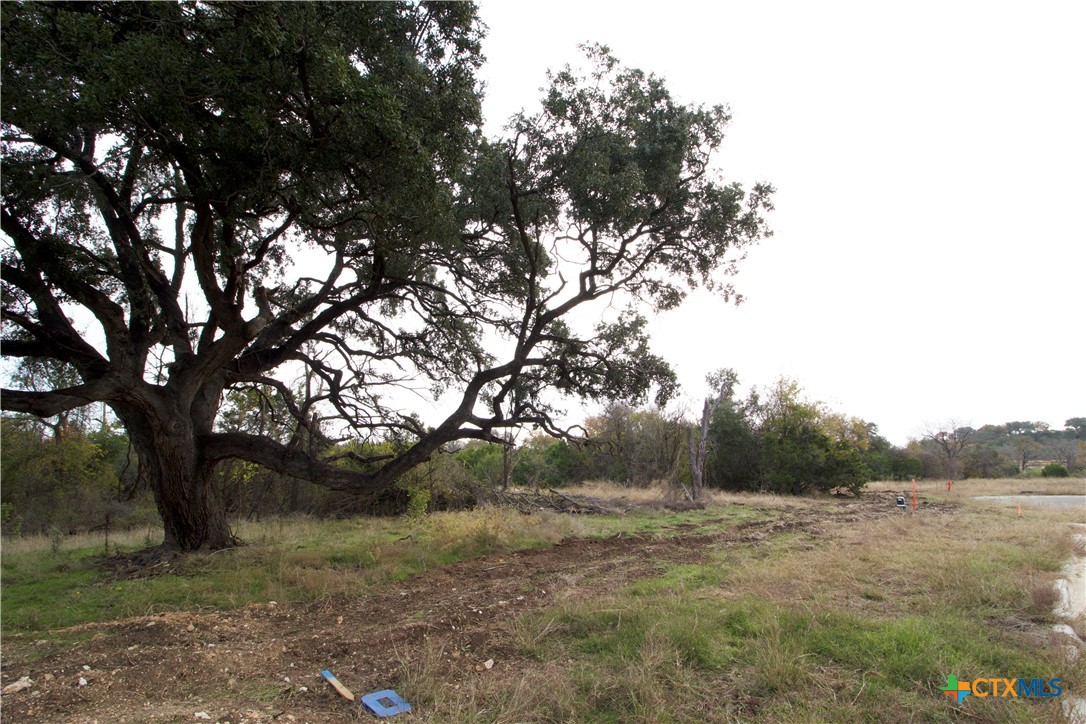 Tbd Moonlight Lane Belton, TX 76513 - Photo 10 of 27 a view of a forest filled with trees