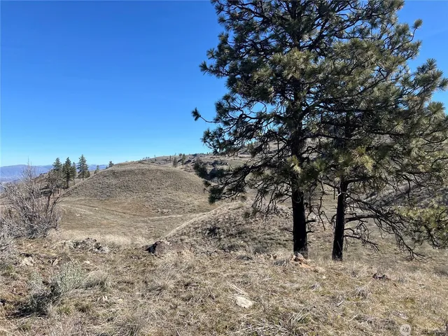 $125,000 | Nna Nna Soap Lake Road, Malott, WA 98829