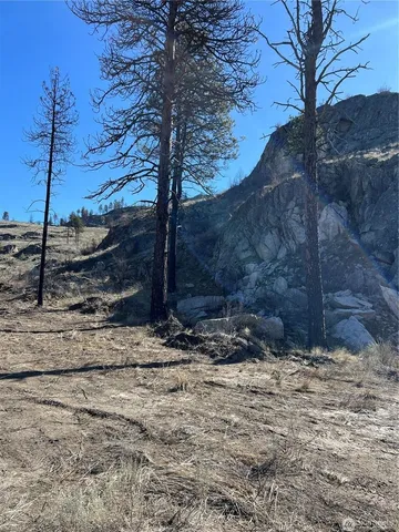 $125,000 | Nna Nna Soap Lake Road, Malott, WA 98829