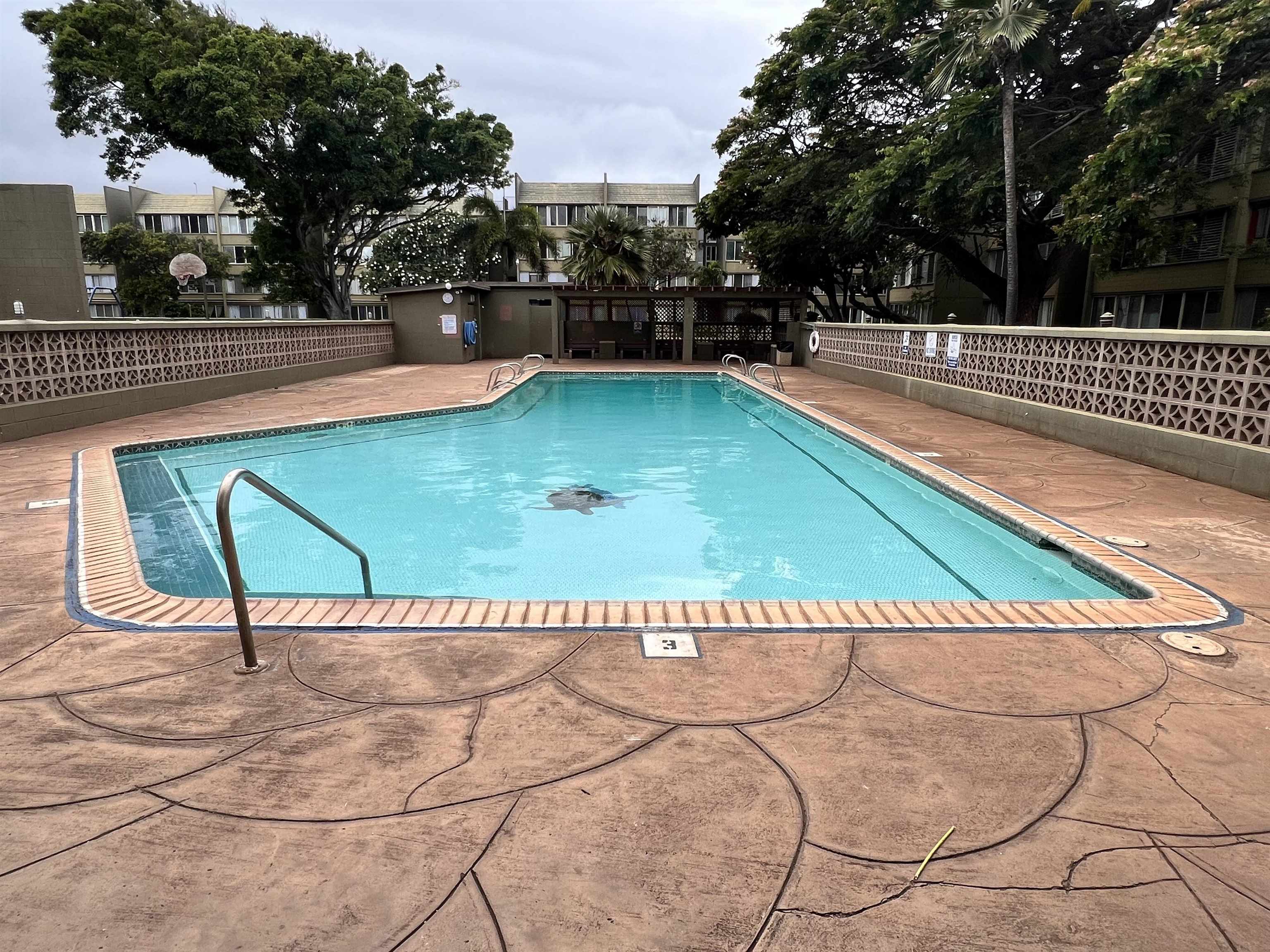 111 Kahului Beach Road, Unit B112 Kahului, HI 96732 - Photo 14 of 15 a view of a swimming pool with a bench and trees
