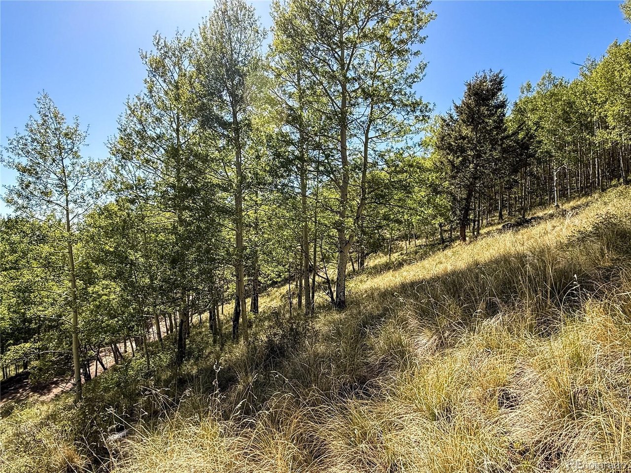 6829 Ryland Road San Luis, CO 81152 - Photo 23 of 28 a view of a yard with large trees