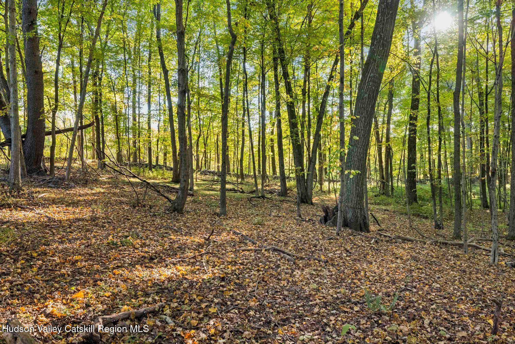 392-396 Cottekill Road Kingston, NY 12401 - Photo 27 of 34 a backyard of a house with lots of green space