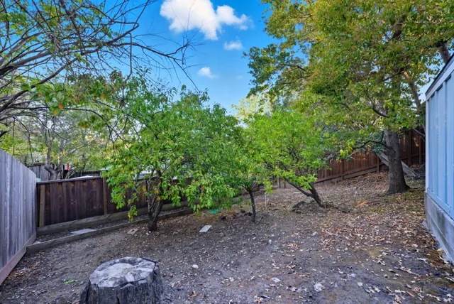 a view of a backyard with large trees and wooden fence