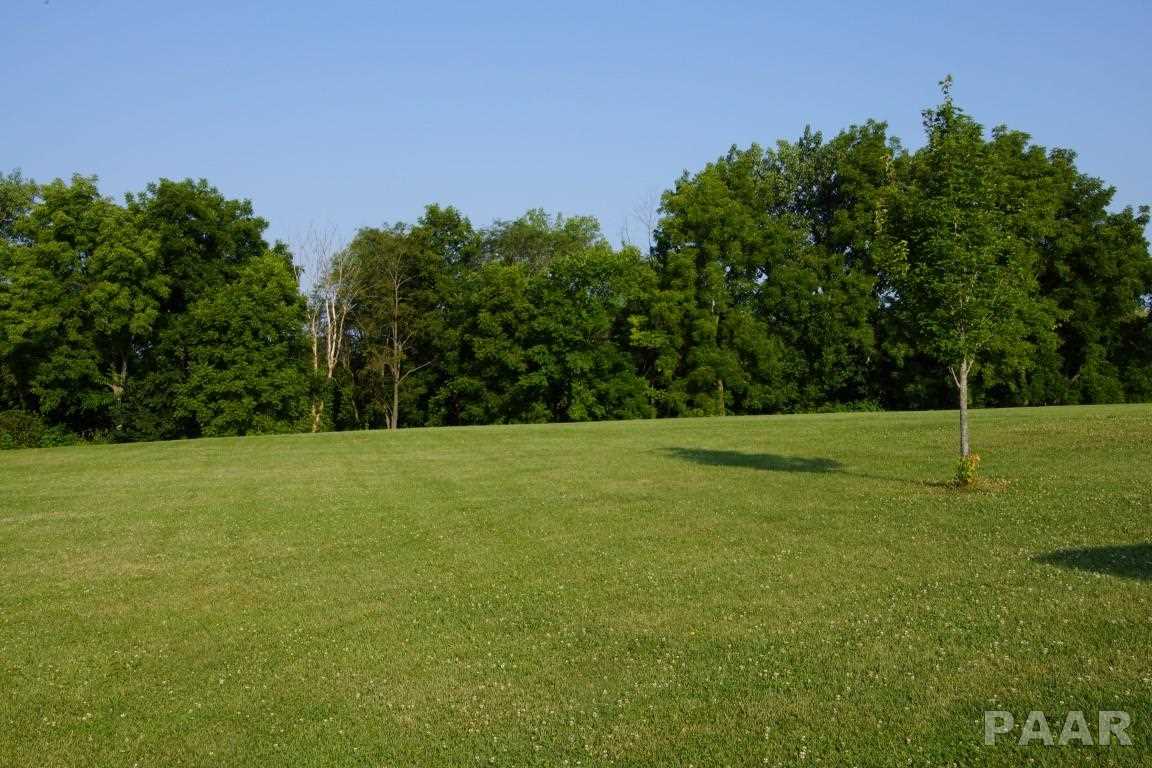13215 North Bland Road Dunlap, IL 61525 - Photo 17 of 19 Gallery Image 17