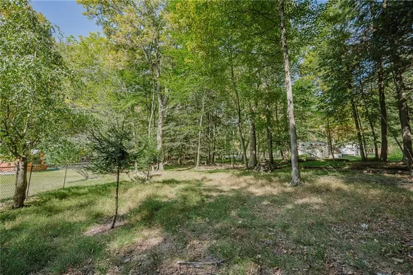 a view of a forest with trees in the background