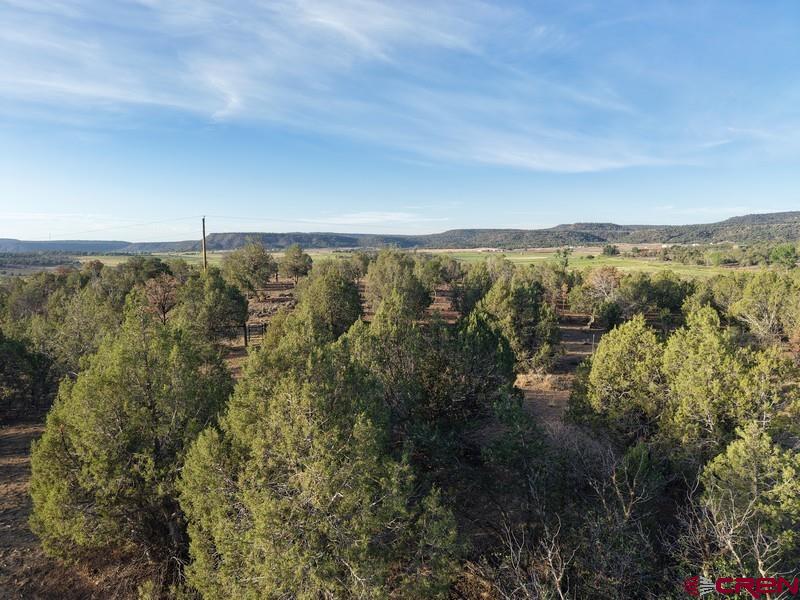 329 Ignacio Co 81137 Ignacio, CO 81137 - Photo 12 of 15 Gallery Image 12