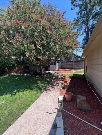 a view of a yard with plants and a bench