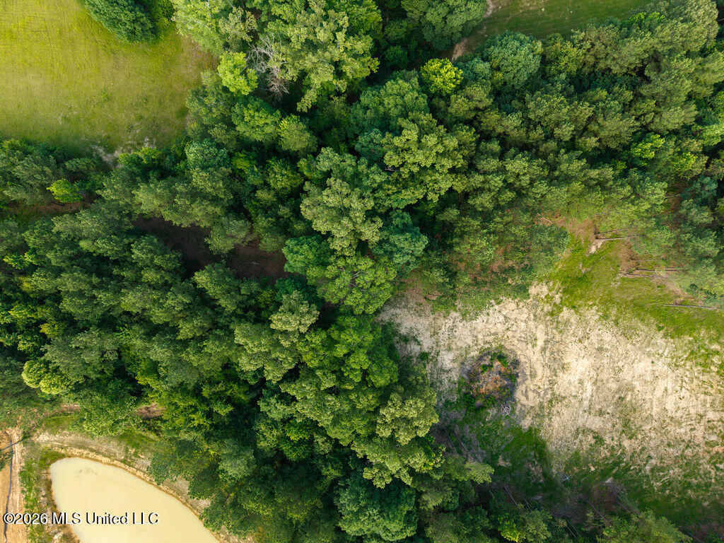 Trickhambridge Road Brandon, MS 39042 - Photo 13 of 30 dji_fly_20260610_164652_0193_17811286317