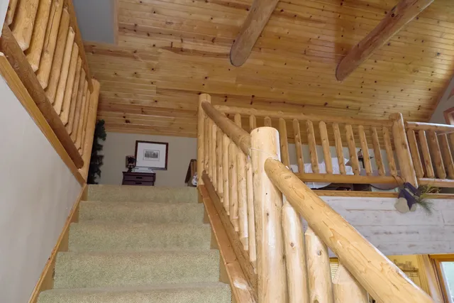 a backyard of a house with a large tree
