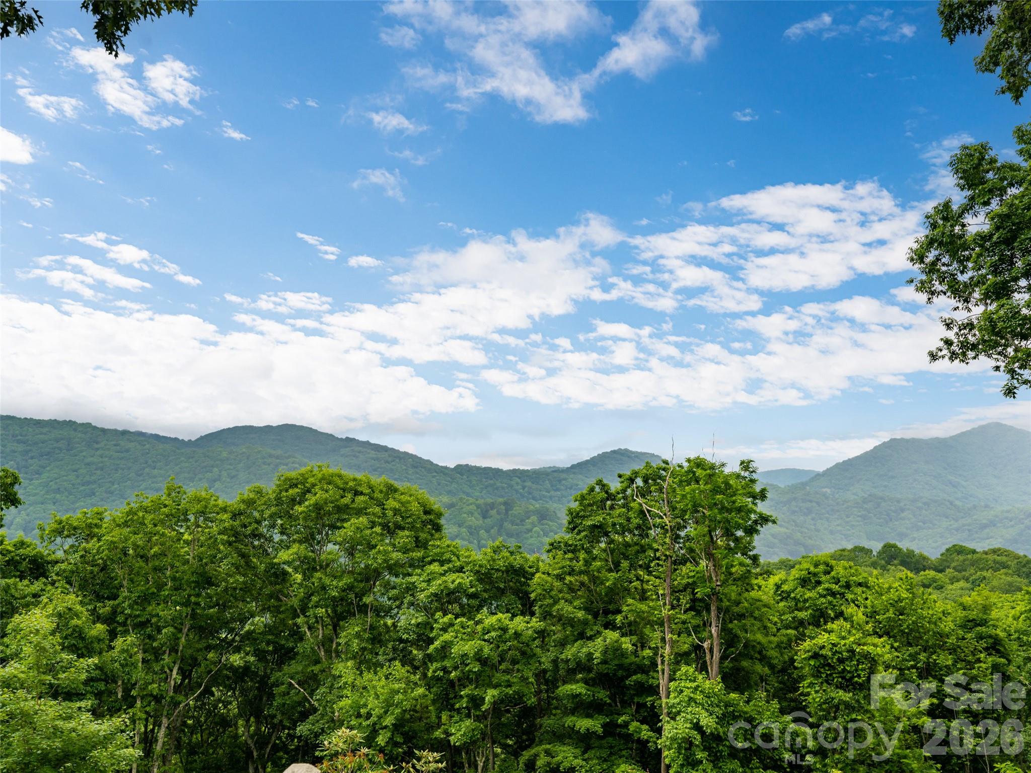 243 Pioneer Ridge Road Canton, NC 28716 - Photo 5 of 47