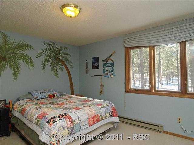 10375 Huntsman Road Colorado Springs, CO 80908 - Photo 14 of 16