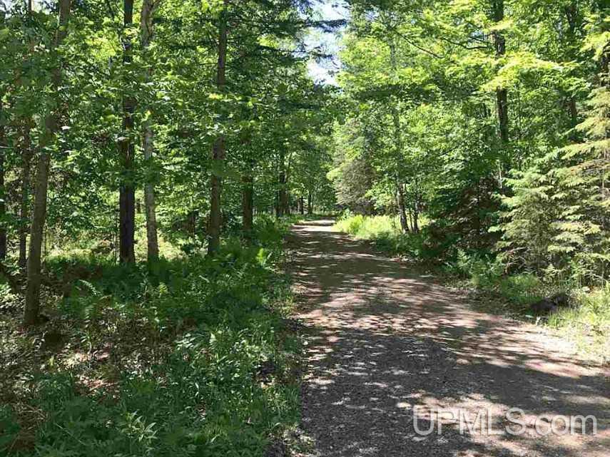 108 Burke Road Crystal Falls, MI 49920 - Photo 29 of 35
