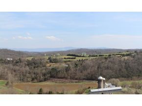 833 Robert Harmon Road Greeneville, TN 37745 - Photo 3 of 22 Photo 3