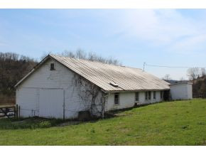 833 Robert Harmon Road Greeneville, TN 37745 - Photo 5 of 22 Photo 5