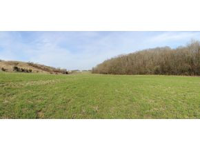833 Robert Harmon Road Greeneville, TN 37745 - Photo 9 of 22 Photo 9
