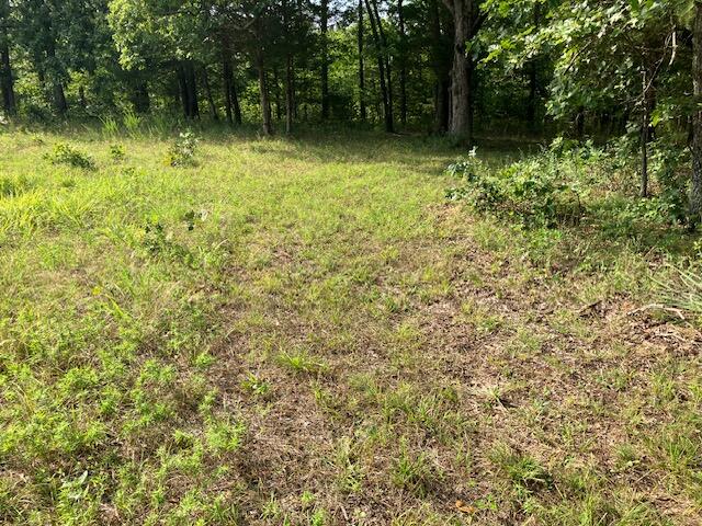 7442 High Point Road Montreal, MO 65591 - Photo 1 of 1 71262gafford031043__71C6CD91-9A02-4E81-B