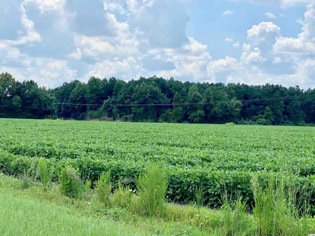 $2,250,000 | 501 Aynor Sc 29511, Aynor, SC 29511