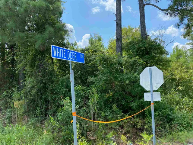 $2,250,000 | 501 Aynor Sc 29511, Aynor, SC 29511