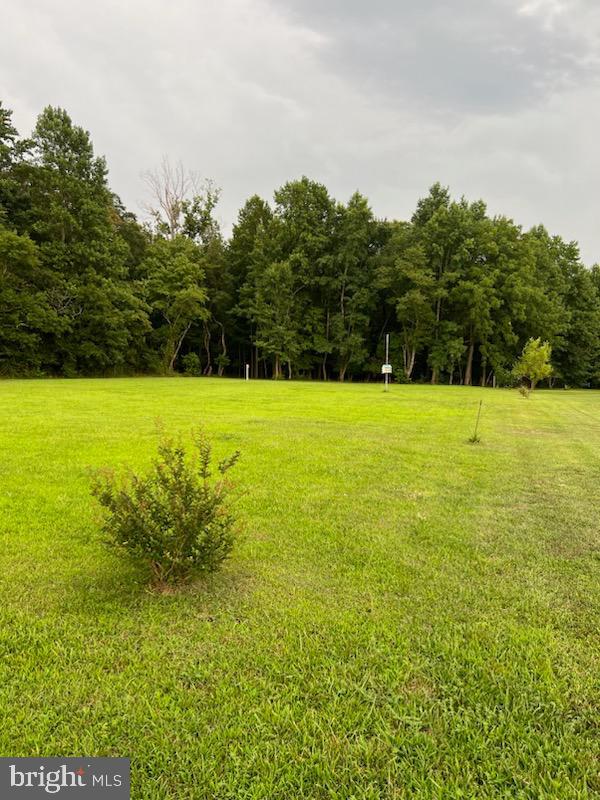 Lot 7 Reynolds Pond Road Ellendale, DE 19941 - Photo 2 of 3 Gallery Image 2