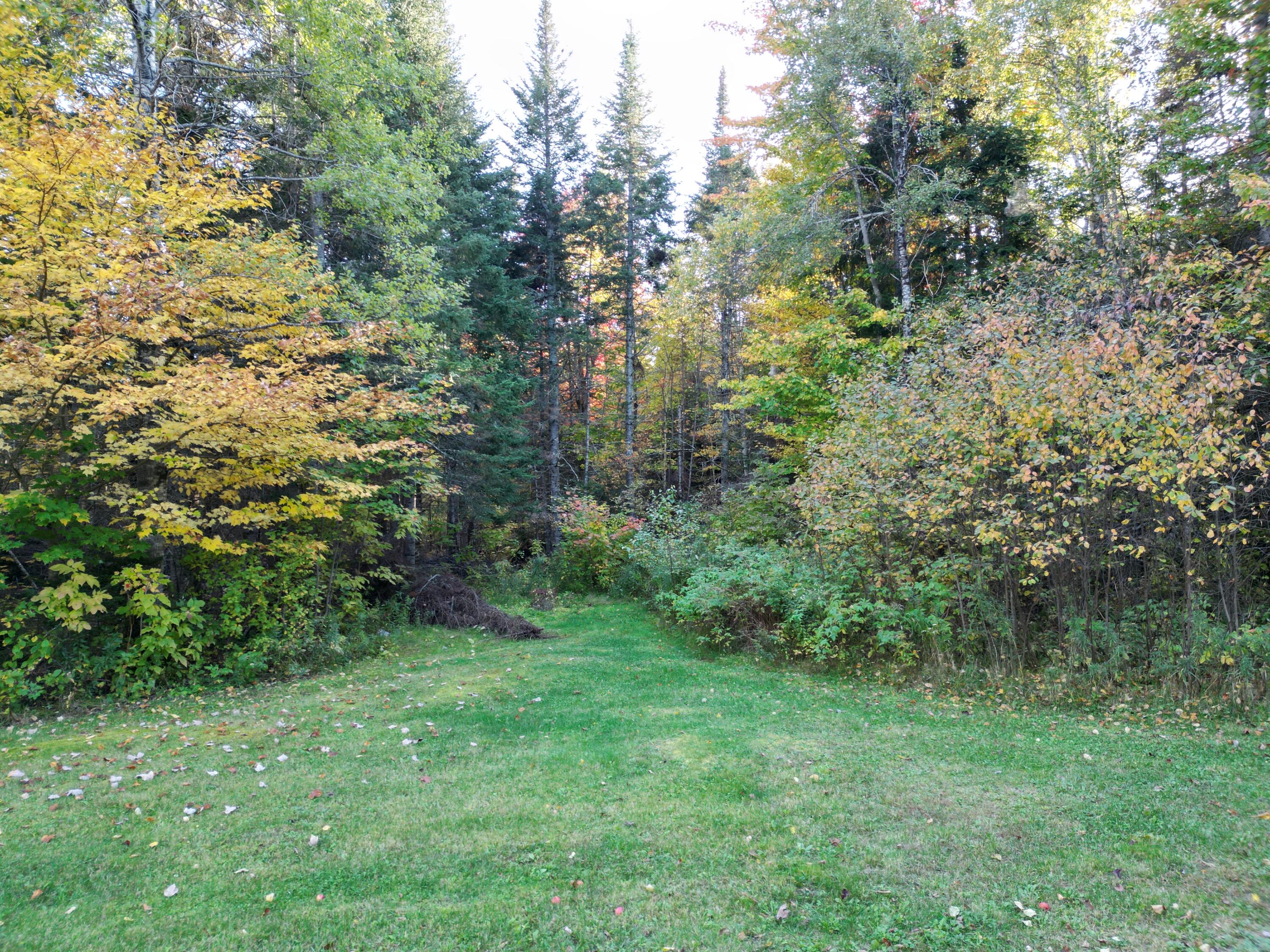 Lot 1-2 West Tucker Ridge Road Springfield, ME 04487 - Photo 6 of 20 DJI_0352