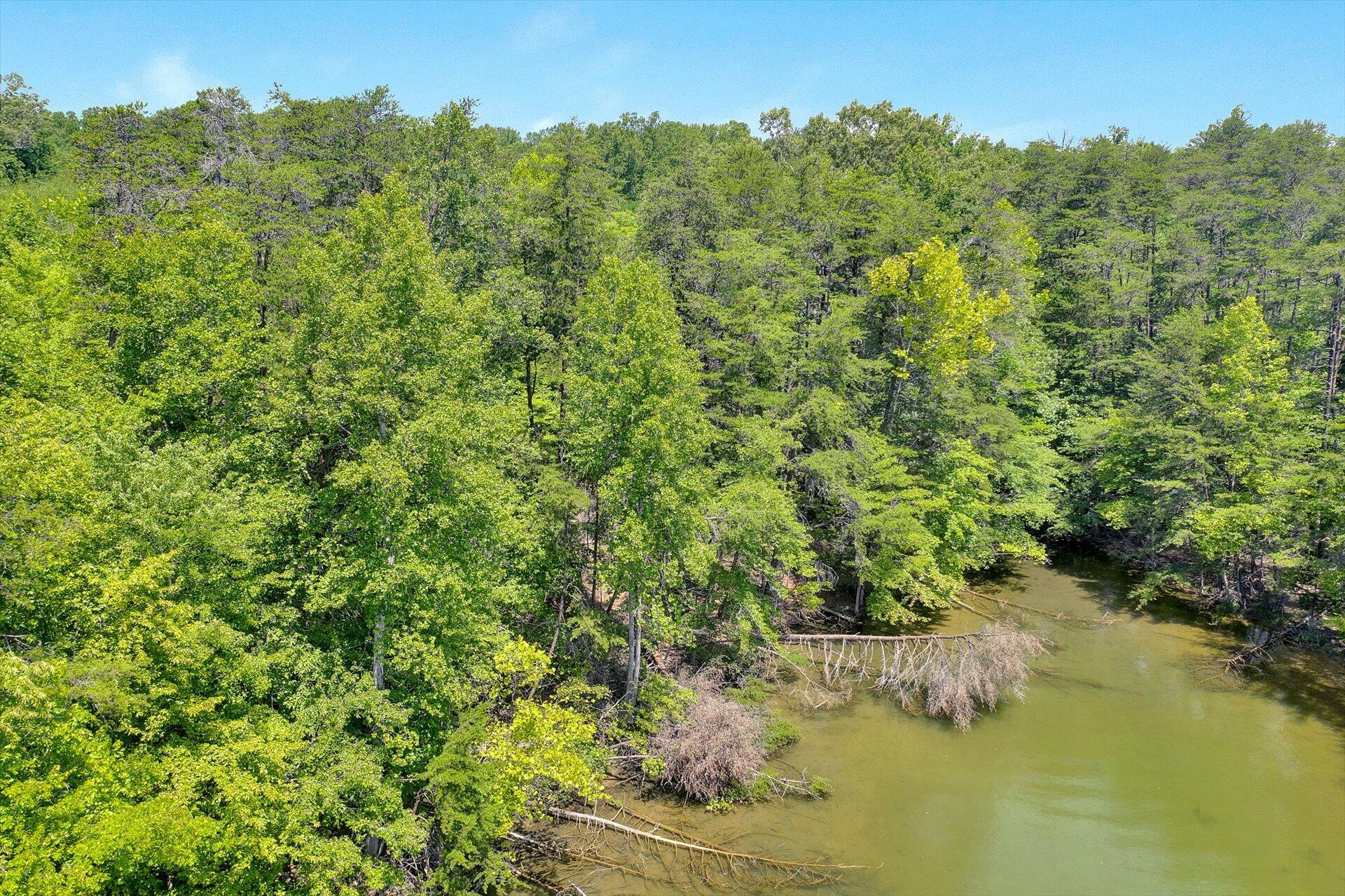 Lot 17 Lakestone Road Union Hall, VA 24176 - Photo 8 of 12 07-072120230087