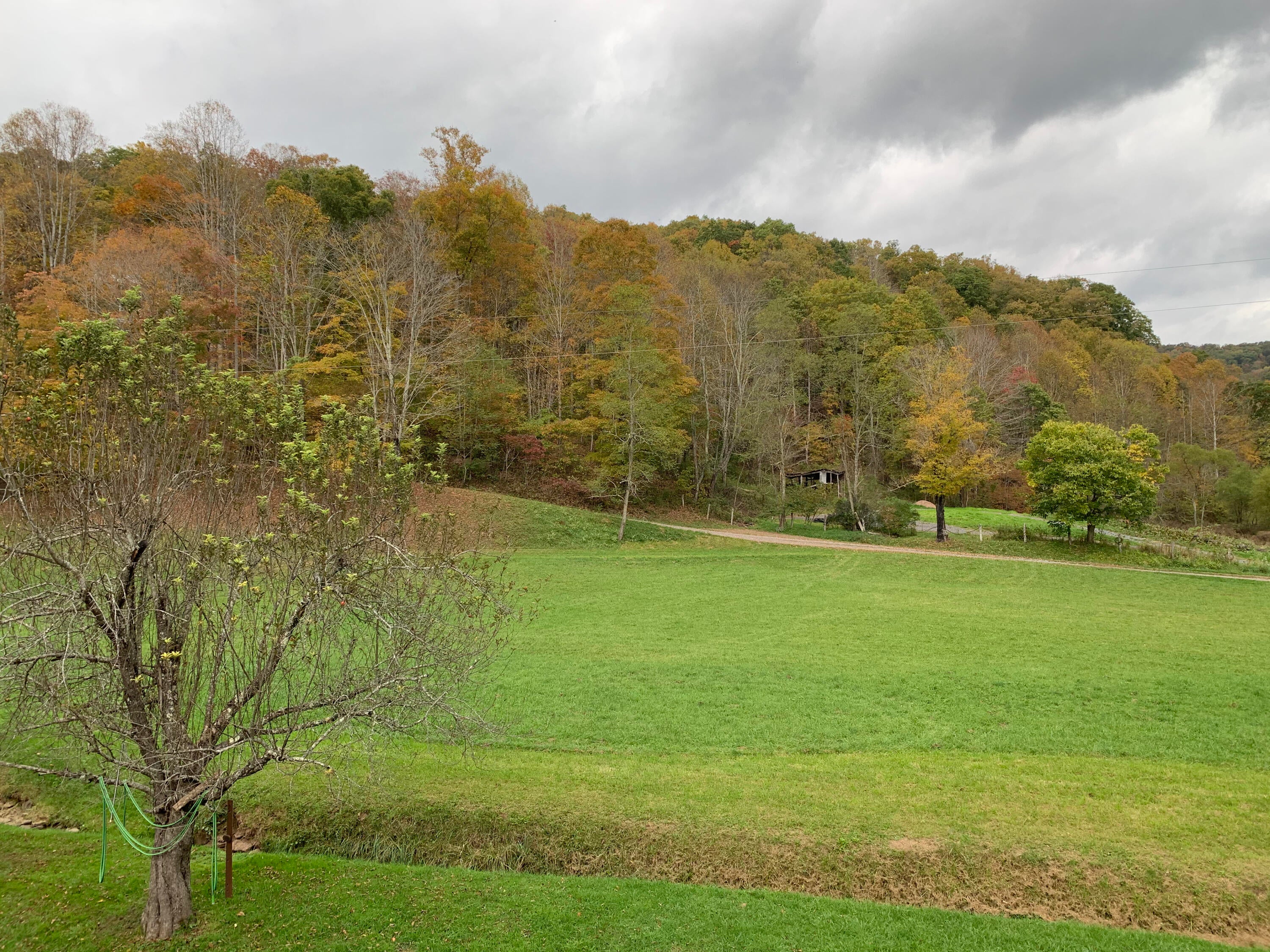 3446 Snake Run Road Alderson, WV 24910 - Photo 74 of 95 Gallery Image 74