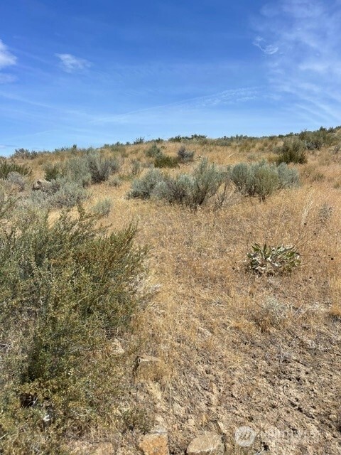 0 Lot 1 Bill Shaw Road Pateros, WA 98846 - Photo 14 of 23