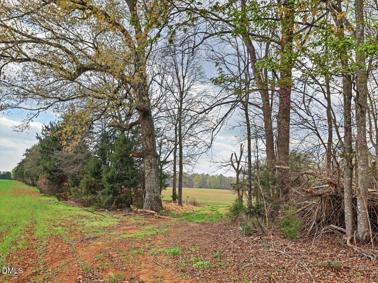 7793 Ridgeville Road Leasburg, NC 27291 - Photo 52 of 91
