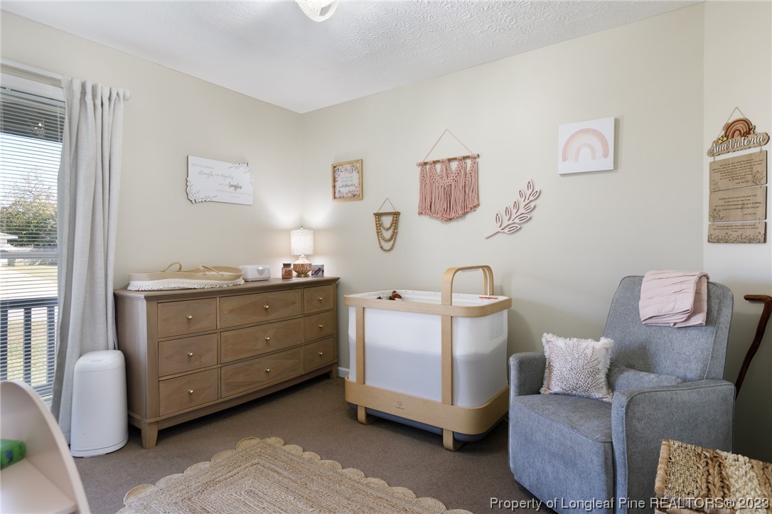 6537 Grist Mill Road Fayetteville, NC 28314 - Photo 24 of 26 a bed room with furniture and a window