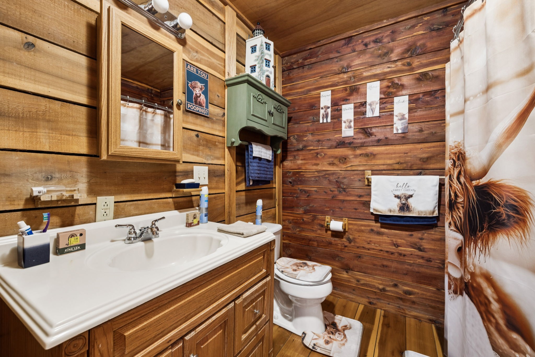 176 Robert Hensley Road Hohenwald, TN 38462 - Photo 27 of 87 a bathroom with a sink a toilet and a shower curtain
