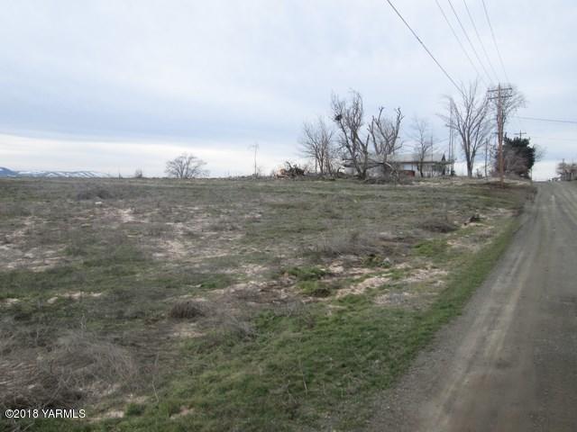 a view of dirt field and trees