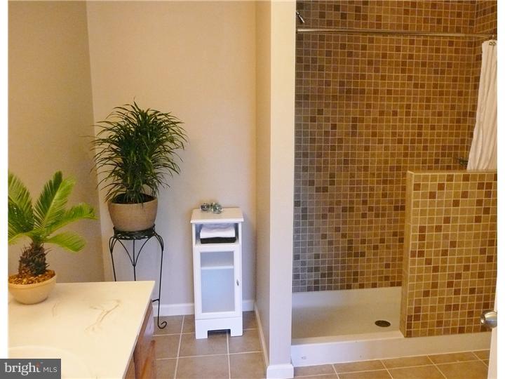 360 Mercer Mill Road Landenberg, PA 19350 - Photo 9 of 18 Master Bathroom