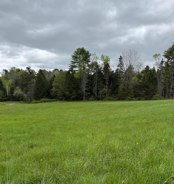 89 Marquis Road Freeport, ME 04032 - Photo 13 of 17 South view