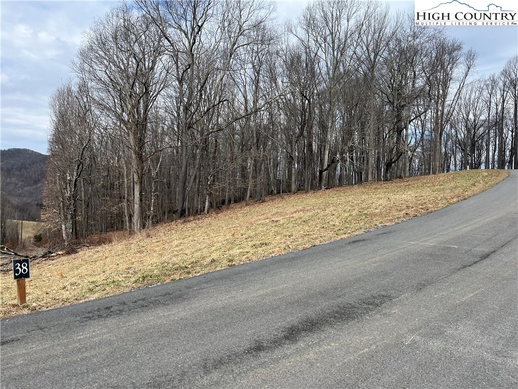 Lot 38 Poplar Forest Drive Boone, NC 28607 - Photo 2 of 5 a view of snow on the side of a road