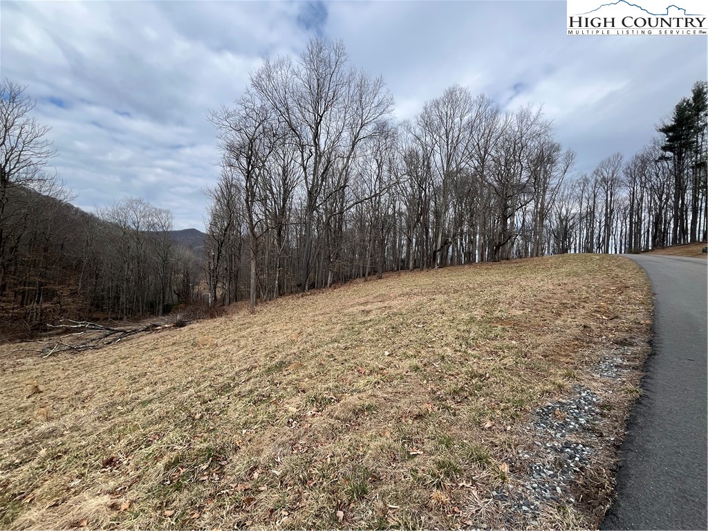 Lot 38 Poplar Forest Drive Boone, NC 28607 - Photo 4 of 5 a view of a yard with trees